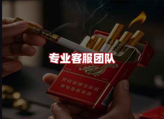 专业团队